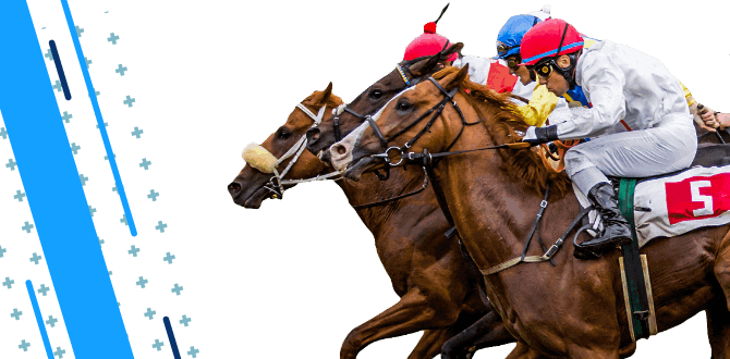 Why is betting on horse racings beneficial ?